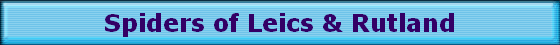 Spiders of Leics & Rutland